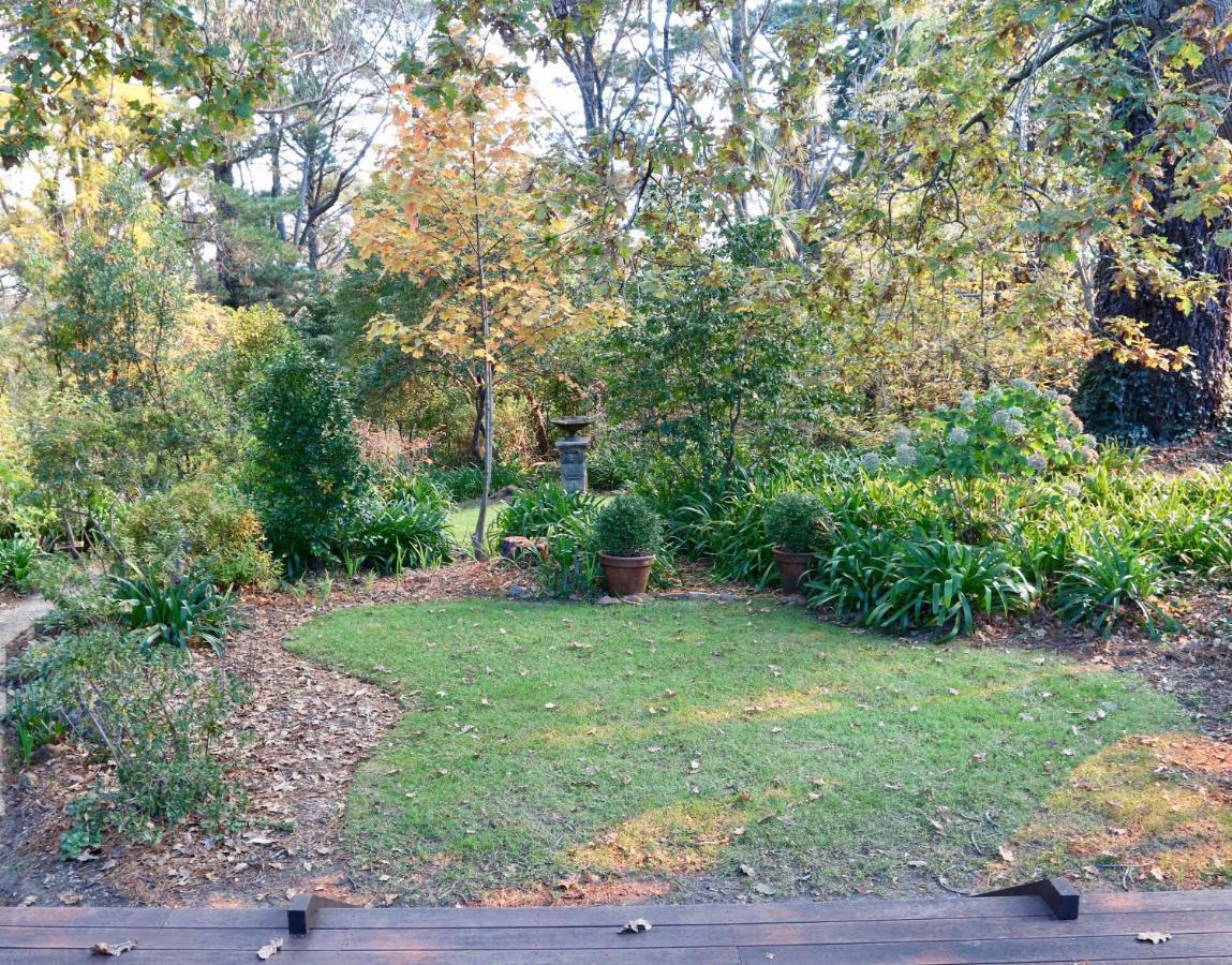 Poet'S Cottage - Fireplace, Close To Treks Wentworth Falls Eksteriør billede